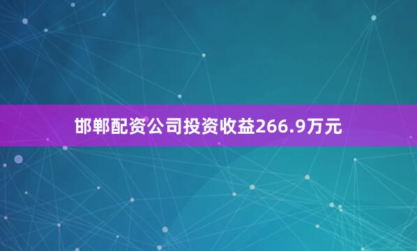 邯郸配资公司投资收益266.9万元
