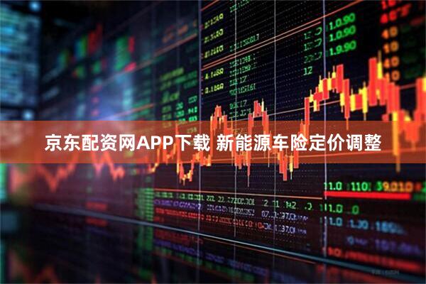 京东配资网APP下载 新能源车险定价调整