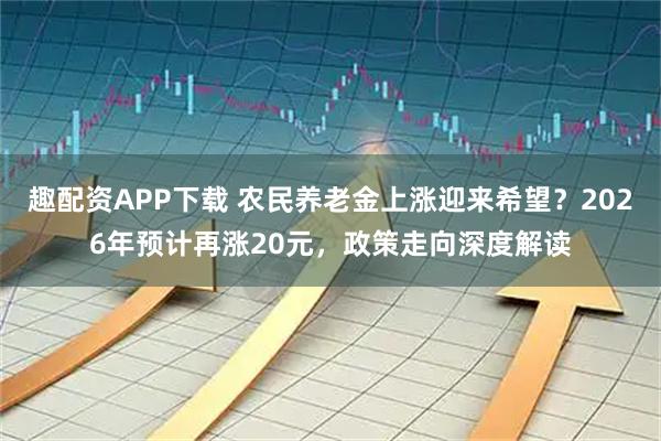 趣配资APP下载 农民养老金上涨迎来希望？2026年预计再涨20元，政策走向深度解读